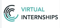 Virtual Interns